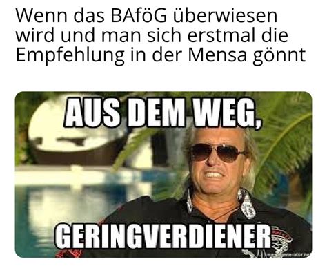 geringverdiener meme|More.